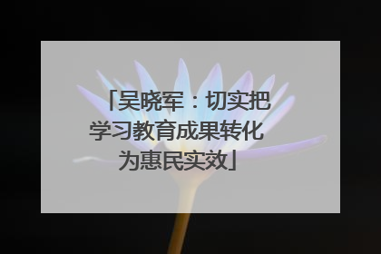 吴晓军：切实把学习教育成果转化为惠民实效