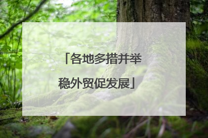 各地多措并举稳外贸促发展