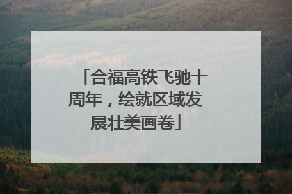 合福高铁飞驰十周年，绘就区域发展壮美画卷