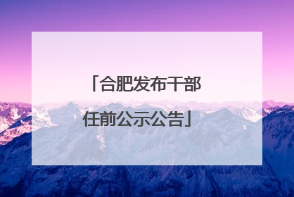 合肥发布干部任前公示公告