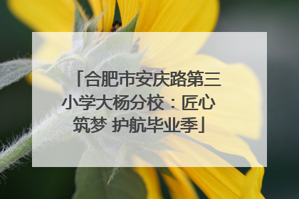合肥市安庆路第三小学大杨分校：匠心筑梦 护航毕业季