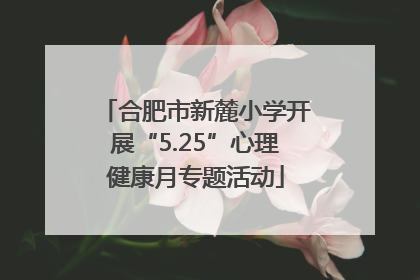 合肥市新麓小学开展“5.25”心理健康月专题活动