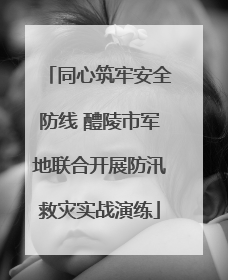 同心筑牢安全防线 醴陵市军地联合开展防汛救灾实战演练