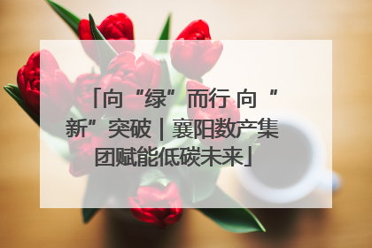 向“绿”而行 向“新”突破｜襄阳数产集团赋能低碳未来