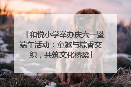 和悦小学举办庆六一暨端午活动：童趣与粽香交织，共筑文化桥梁