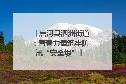 唐河县泗洲街道：青春力量筑牢防汛“安全堤”