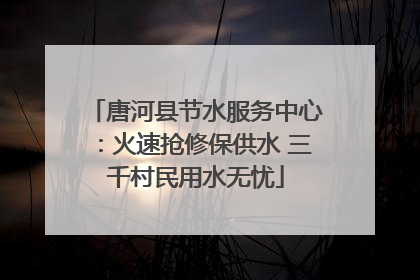 唐河县节水服务中心：火速抢修保供水 三千村民用水无忧