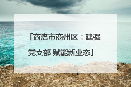 商洛市商州区：建强党支部 赋能新业态