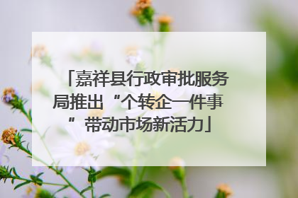 嘉祥县行政审批服务局推出“个转企一件事”带动市场新活力