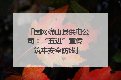 国网确山县供电公司：“五进”宣传 筑牢安全防线
