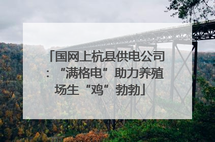国网上杭县供电公司：“满格电”助力养殖场生“鸡”勃勃