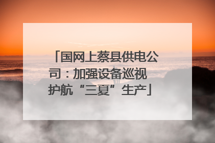 国网上蔡县供电公司：加强设备巡视 护航“三夏”生产