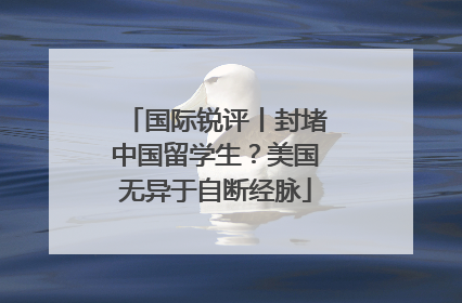 国际锐评丨封堵中国留学生？美国无异于自断经脉