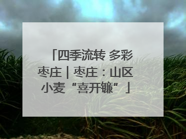 四季流转 多彩枣庄｜枣庄：山区小麦“喜开镰”
