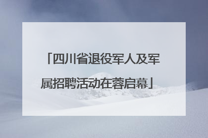 四川省退役军人及军属招聘活动在蓉启幕