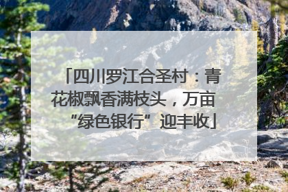 四川罗江合圣村：青花椒飘香满枝头，万亩“绿色银行”迎丰收