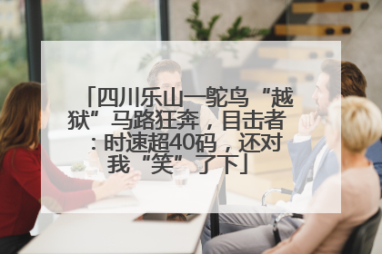 四川乐山一鸵鸟“越狱”马路狂奔，目击者：时速超40码，还对我“笑”了下
