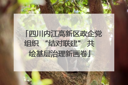 四川内江高新区政企党组织 “结对联建” 共绘基层治理新画卷