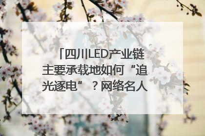 四川LED产业链主要承载地如何“追光逐电”？网络名人走进攀枝花找答案｜网络名人四川行