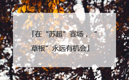 在“苏超”赛场，“草根”永远有机会