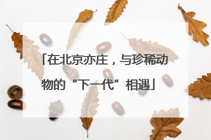 在北京亦庄，与珍稀动物的“下一代”相遇