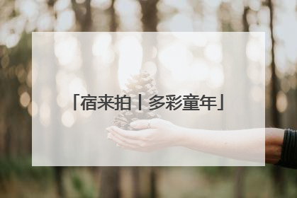 宿来拍丨多彩童年