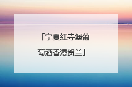 宁夏红寺堡葡萄酒香漫贺兰