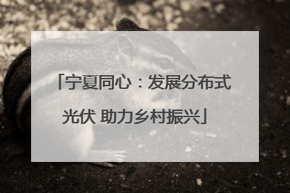 宁夏同心：发展分布式光伏 助力乡村振兴