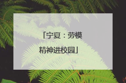 宁夏：劳模精神进校园