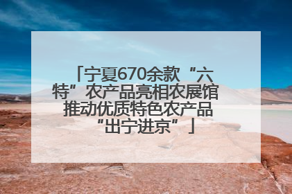 宁夏670余款“六特”农产品亮相农展馆 推动优质特色农产品“出宁进京”