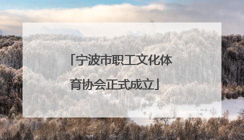 宁波市职工文化体育协会正式成立