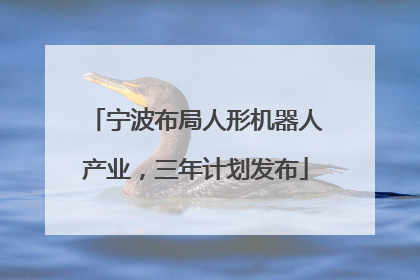 宁波布局人形机器人产业，三年计划发布