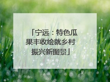 宁远：特色瓜果丰收绘就乡村振兴新图景