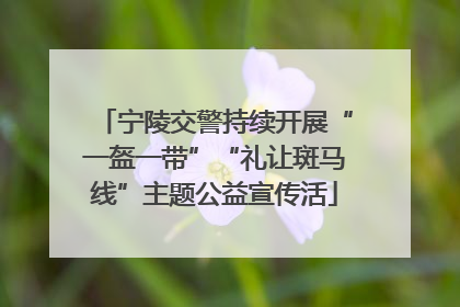 宁陵交警持续开展“一盔一带”“礼让斑马线”主题公益宣传活