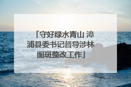 守好绿水青山 漳浦县委书记督导涉林图斑整改工作