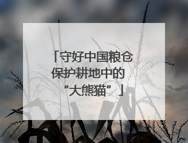 守好中国粮仓 保护耕地中的“大熊猫”