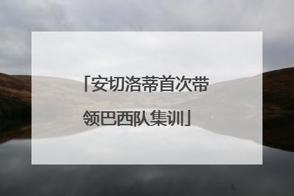 安切洛蒂首次带领巴西队集训