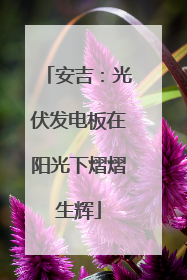 安吉：光伏发电板在阳光下熠熠生辉
