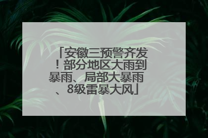 安徽三预警齐发！部分地区大雨到暴雨、局部大暴雨、8级雷暴大风