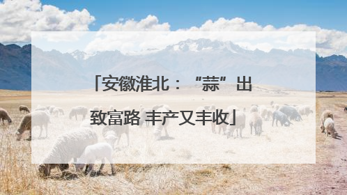 安徽淮北：“蒜”出致富路 丰产又丰收
