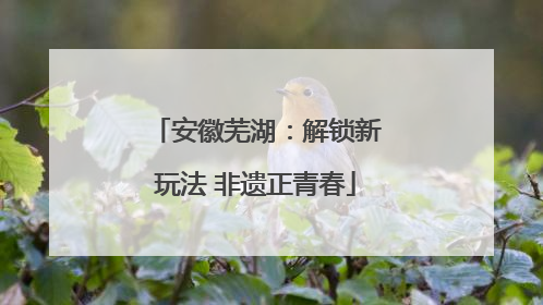 安徽芜湖：解锁新玩法 非遗正青春