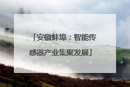 安徽蚌埠：智能传感器产业集聚发展