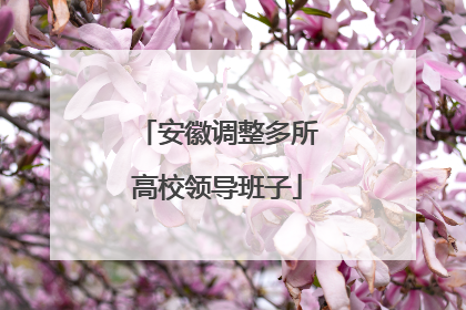 安徽调整多所高校领导班子