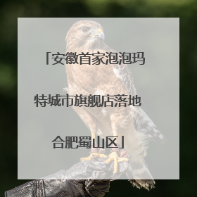 安徽首家泡泡玛特城市旗舰店落地合肥蜀山区