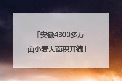 安徽4300多万亩小麦大面积开镰