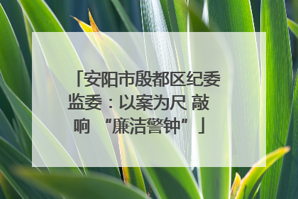 安阳市殷都区纪委监委：以案为尺 敲响 “廉洁警钟”