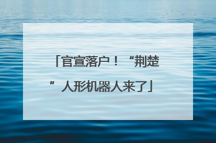 官宣落户！“荆楚”人形机器人来了