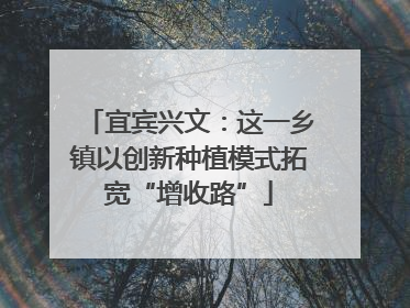 宜宾兴文：这一乡镇以创新种植模式拓宽“增收路”