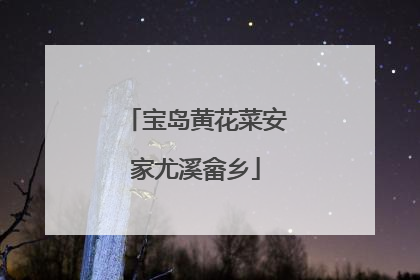 宝岛黄花菜安家尤溪畲乡