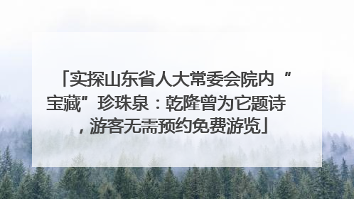实探山东省人大常委会院内“宝藏”珍珠泉：乾隆曾为它题诗，游客无需预约免费游览